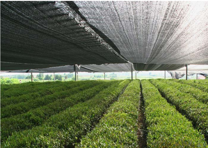 Agricultural Farming Roof Sun Shade Net Handle Strong Winds Available 1m - 6m Width