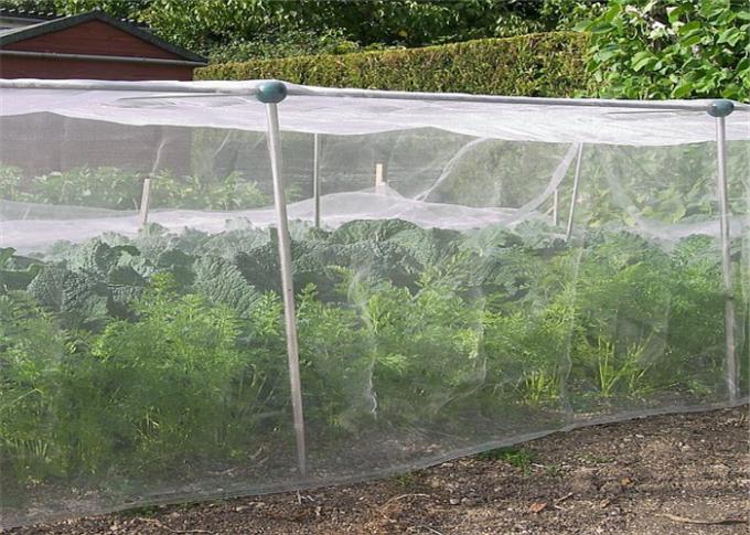 Effective Control Insect Mesh Protection Netting Against Storm Erosion / Resist Hail Invasion