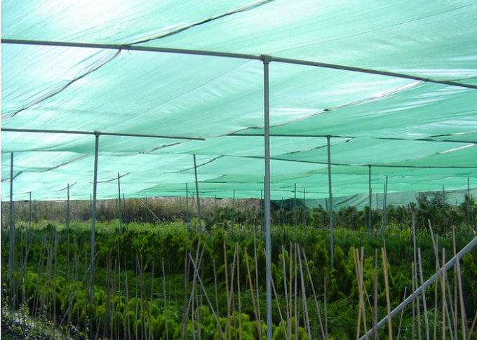 100% HDPE Blue Sun Shade Net For Agricultural Farms / Greenhouse / Horticulture