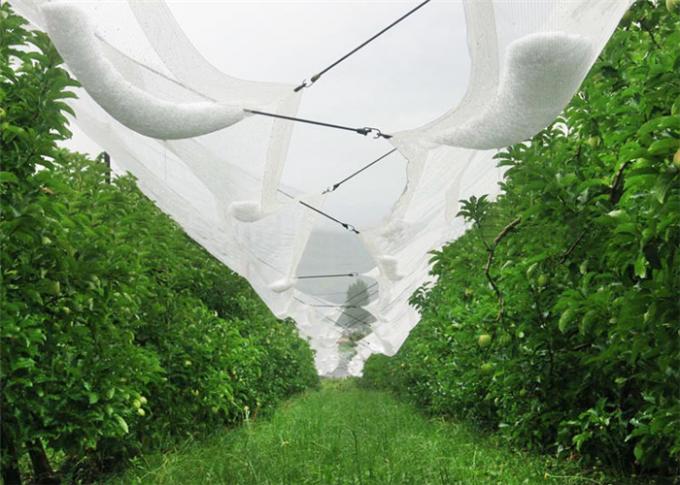 Static Knitted Vegetable Garden Netting , 30gsm - 100gsm Hail Protection Net