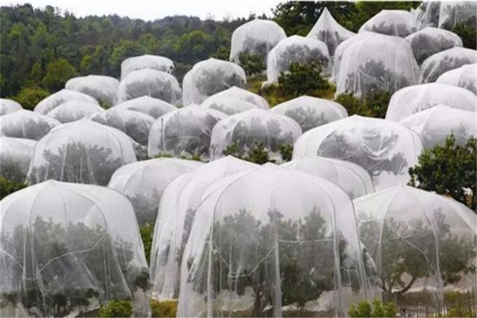 Greenhouse Use Plastic Insect Mesh , Virgin HDPE Insect Proof Netting