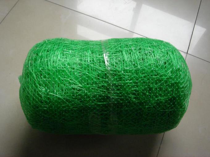 2m*10m Climbing Plant Support Net For Pea / Bean Packed In Plastic Bag