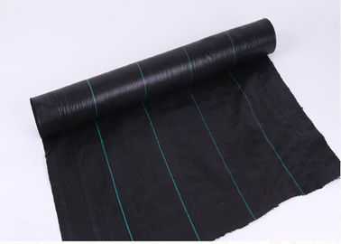 China Breathable Weed Control Mesh For Earlier Cropping , Landscape Fabric In Vegetable Garden factory