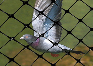 China 1m - 3m Width Bird Netting For Garden , Bird Netting For Blueberry Plants factory