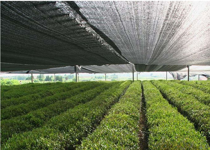 Outdoor Shade Fabric Knitted Garden Shade Cloth For Agricuture And Green House