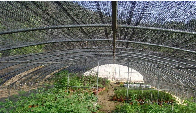 Horticulture Farm Vegetable Garden Shade Cloth For Anti Sunshine 60% Shading Rate