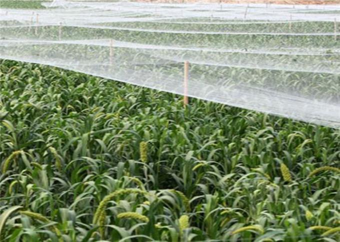 High Strength Monofilament Anti Insect Net For Vegetables And Greenhouse