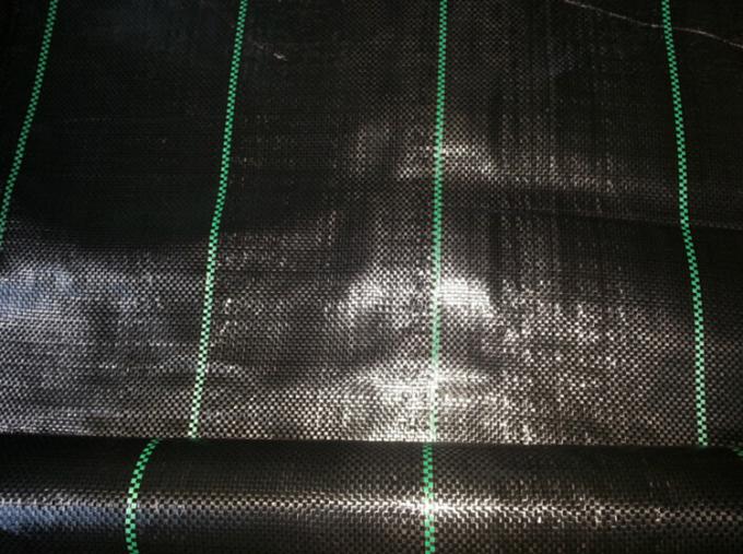 Polypropylene Woven Plastic Ground Cover , 4.2x100m 100gsm Black Garden Fabric