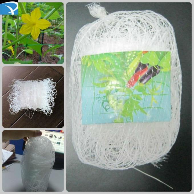 Vertical Used Plastic Plant Support Net , PP White Cucumber Trellis Netting