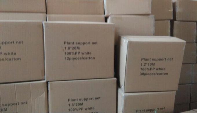 1.2m X 1.2m Plant Protection Netting , UV Treated Garden Plant Netting