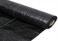 Agricultural Plastic Black Membrane For Gardens Protect Plants In The Ground Surface Available