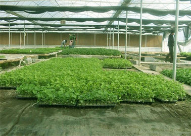 Agricultural Plastic Black Membrane For Gardens Protect Plants In The Ground Surface Available