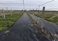 Durable Heavy Duty Weed Control Membrane , High Strength Black Weedblock Landscape Fabric