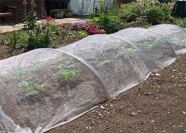 High Strength White / Green Anti Insect Net Used In Cultivation Flowers And Vegetables