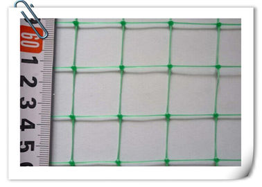 UV Stabilized PP Plant Support Net  Economical Green Pea Bean Netting