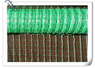 UV Stabilized PP Plant Support Net  Economical Green Pea Bean Netting