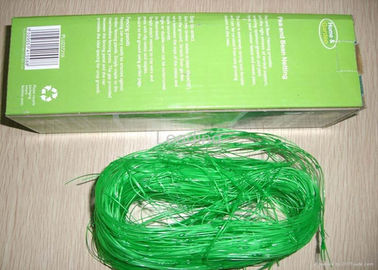 China 2m*10m Climbing Plant Support Net For Pea / Bean Packed In Plastic Bag company