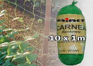 2m*10m Climbing Plant Support Net For Pea / Bean Packed In Plastic Bag