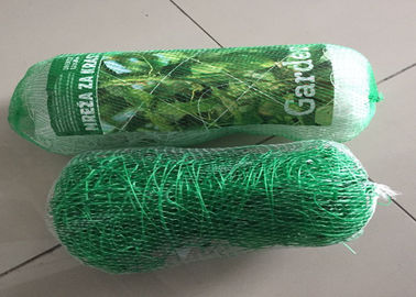 Transparent / Green Plant Support Net With UV Surface Treatment 100% Virgin PP