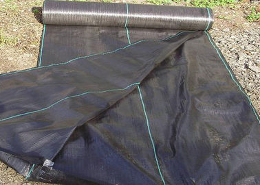 100% Virgin PP Black Weed Control Fabric For Greenhouse Binding Resistant / Press Resistant