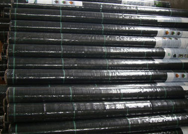 PP / PE Black Weed Control Membrane Keep The Water / Prevent Use Farm Chemical Available