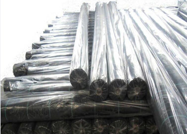 PP / PE Black Weed Control Membrane Keep The Water / Prevent Use Farm Chemical Available