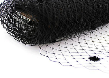 Vineyards / Crops Anti Bird Net , Black / Green Bird Netting For Fruit Trees