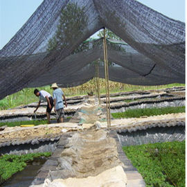 Durable Greenhouse Shade Cover , Sun Shade Net For Protecting Vegetables