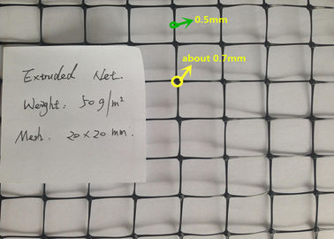 China Soft PP Anti Birds Plastic Extruded Netting For Crops / Vegetables / Fruit Trees factory