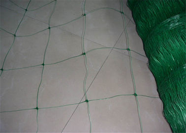 China Extrusion Type Plant Support Net Used For Vines Vegetable Crops 24x24cm Mesh Size factory