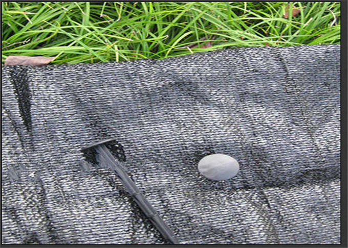 Agricultural Plastic Black Membrane For Gardens Protect Plants In The Ground Surface Available