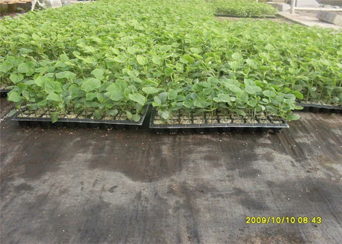 Durable Heavy Duty Weed Control Membrane , High Strength Black Weedblock Landscape Fabric