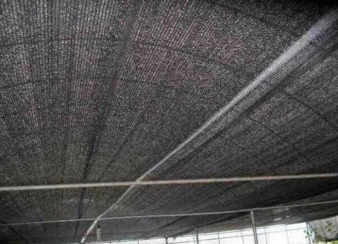 6m UV Stabilizer Shade Netting For Vegetables , PE Outdoor Sun Shade Fabric